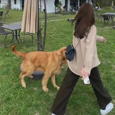 莉莉安